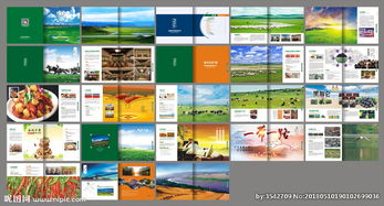 融合新疆风情与现代科技 新疆特产公司画册图片软件销售方案